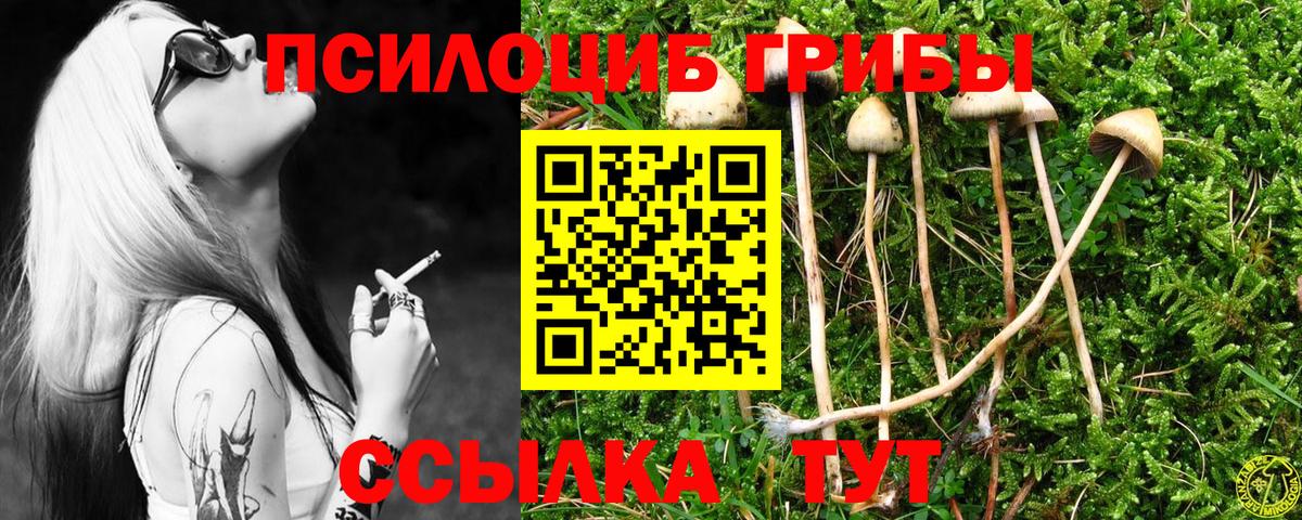 Псилоцибиновые грибы Cubensis Костомукша